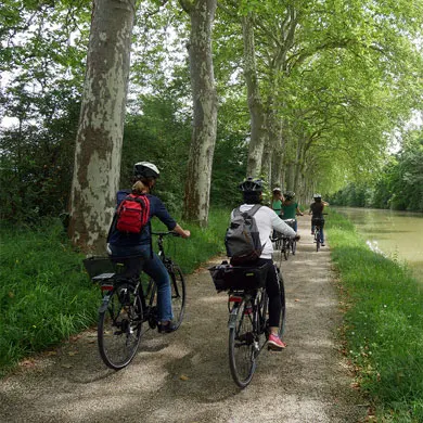 Le-long-du-canal-du-midi-1